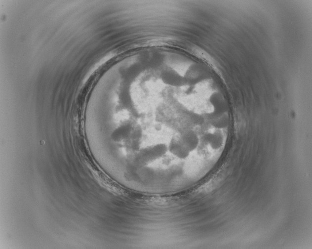 X0000070360827200607072101