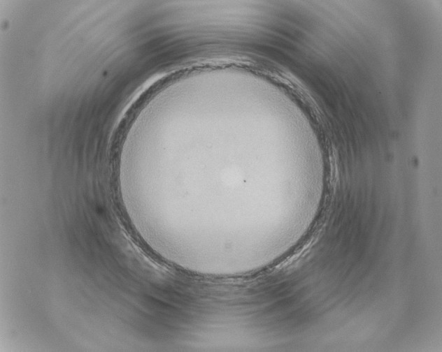 X0000070360828200607072101