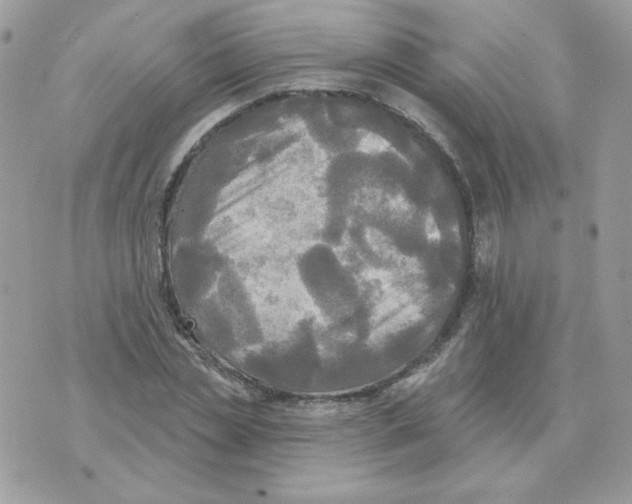 X0000070360829200607072101