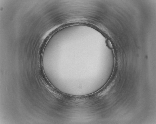 X0000070360830200607072101