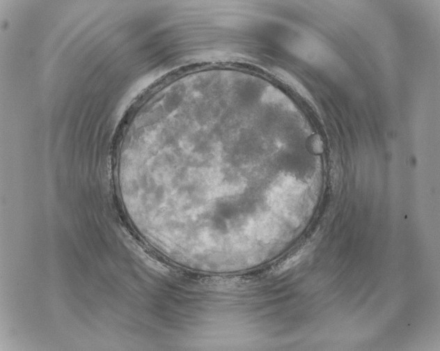 X0000070360831200607072101