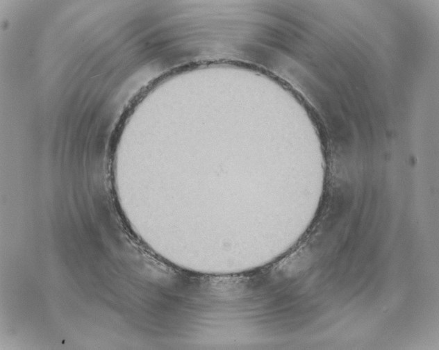 X0000070360832200607072101