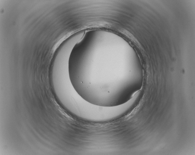 X0000070360834200607072101