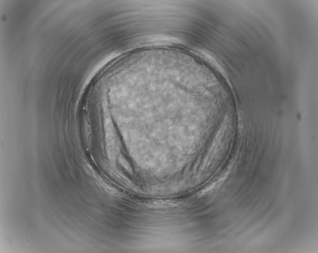 X0000070360835200607072101