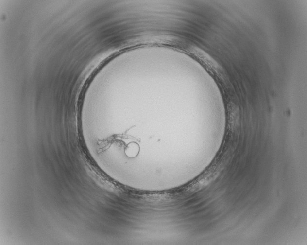 X0000070360836200607072101