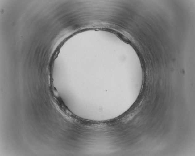 X0000070360838200607072101