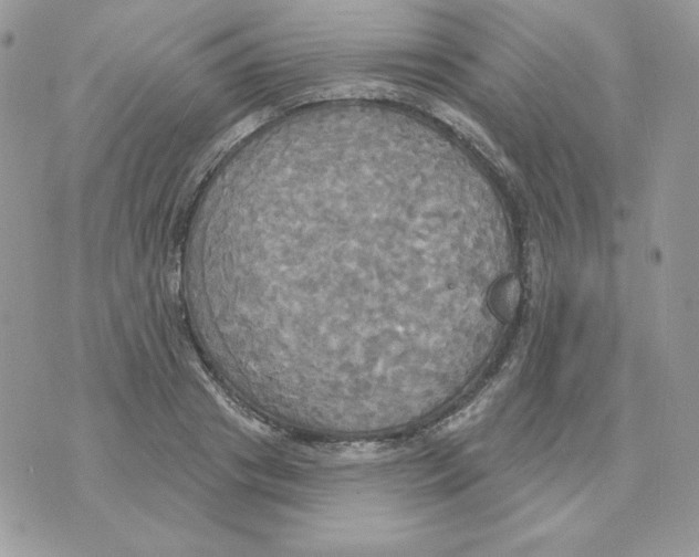 X0000070360841200607072101