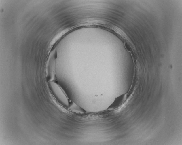 X0000070360842200607072101