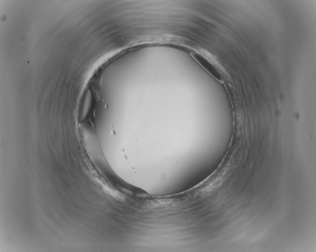 X0000070360846200607072101