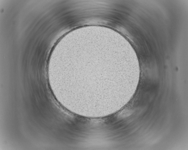 X0000070360848200607072101