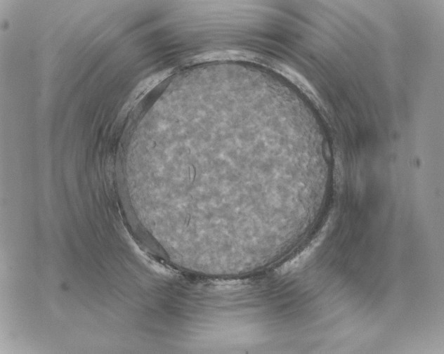 X0000070360849200607072101