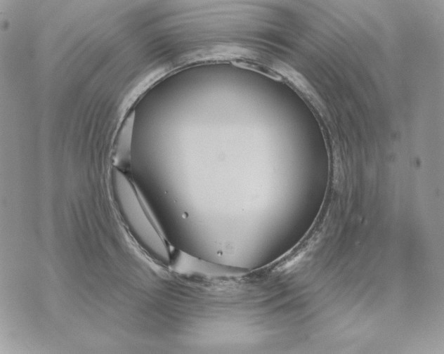 X0000070360850200607072101