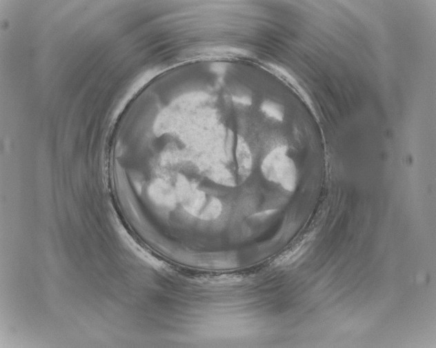 X0000070360851200607072101