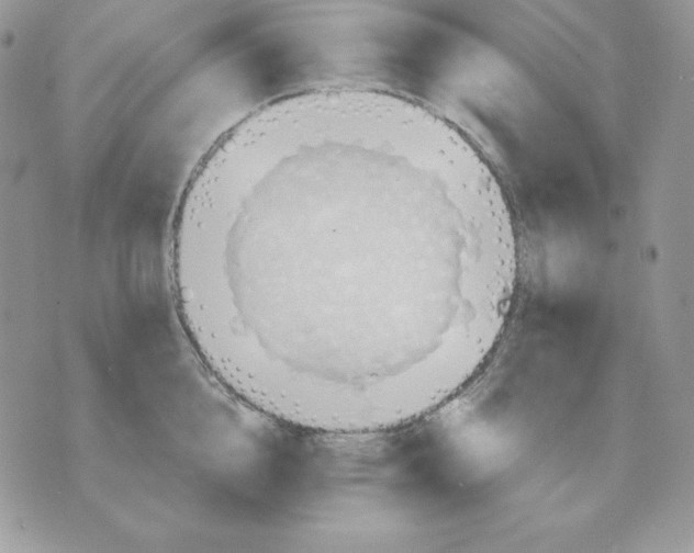 X0000070360856200607072101