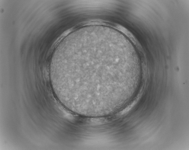 X0000070360857200607072101