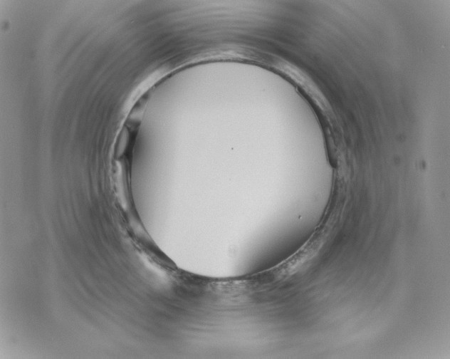 X0000070360858200607072101