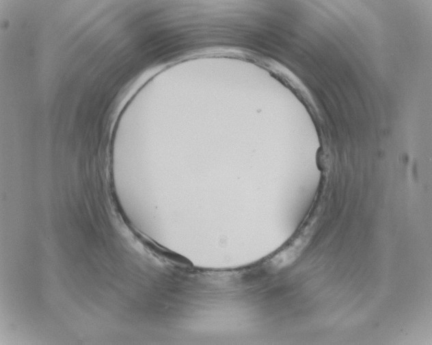 X0000070360860200607072101