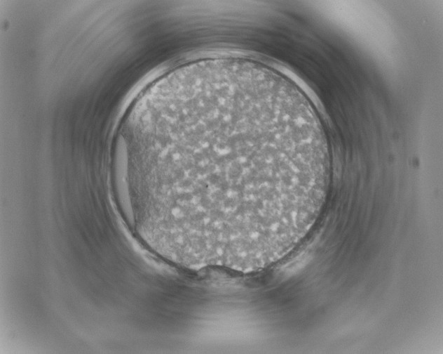 X0000070360861200607072101