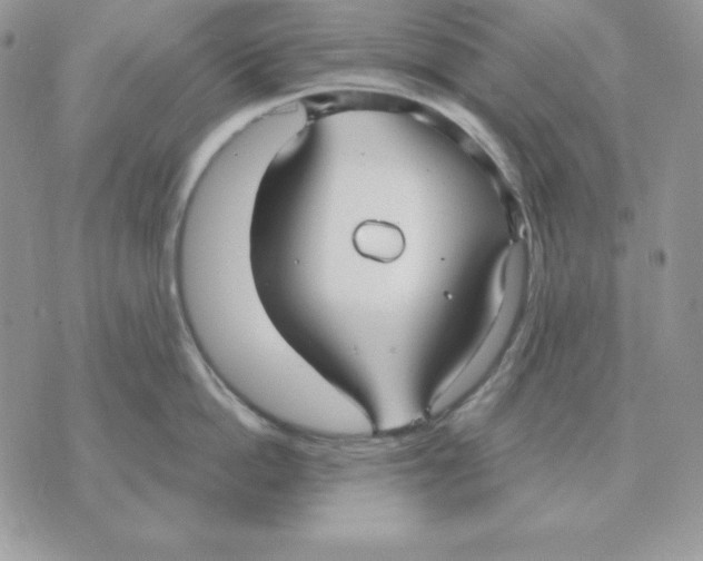 X0000070360862200607072101