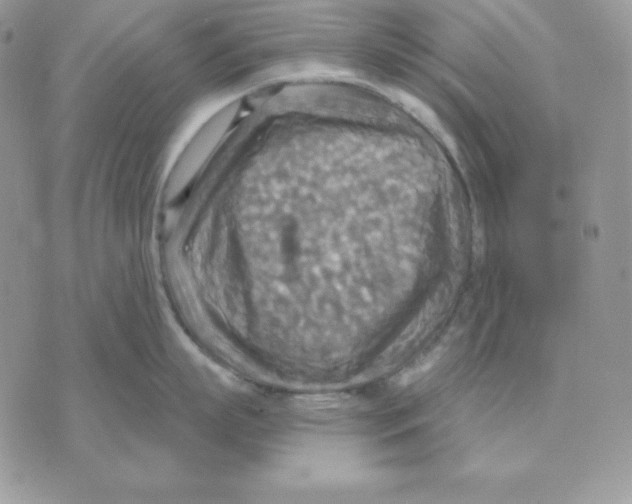 X0000070360863200607072101