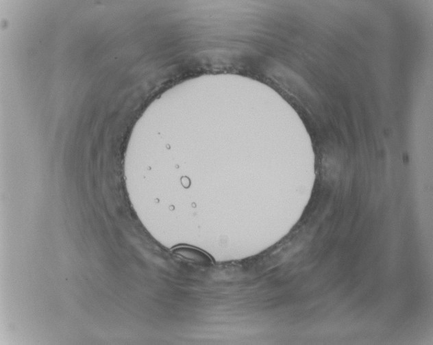 X0000070360865200607072101