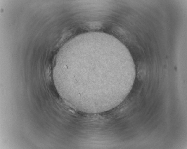 X0000070360866200607072101