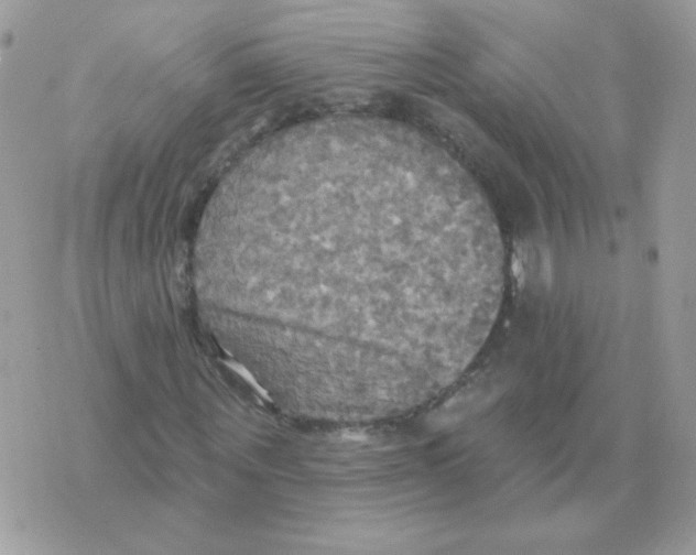 X0000070360867200607072101