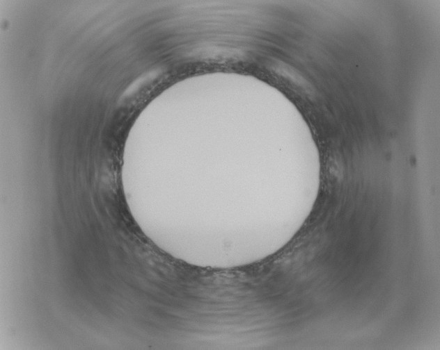 X0000070360869200607072101