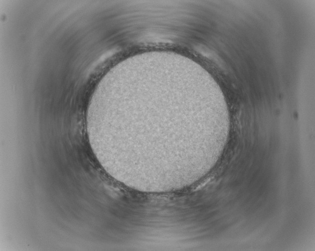 X0000070360870200607072101