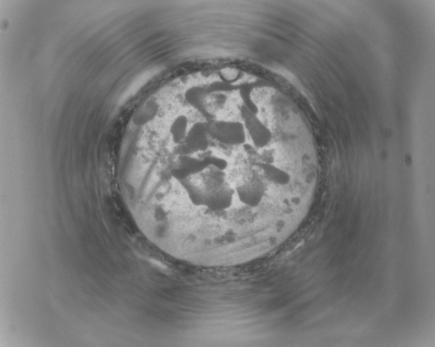 X0000070360871200607072100