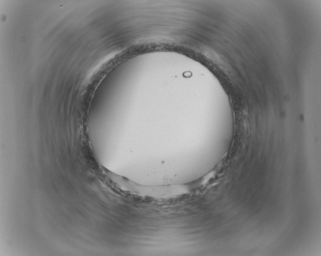 X0000070360872200607072100