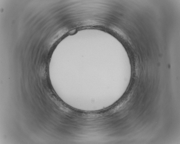 X0000070360873200607072100