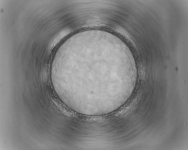 X0000070360874200607072100