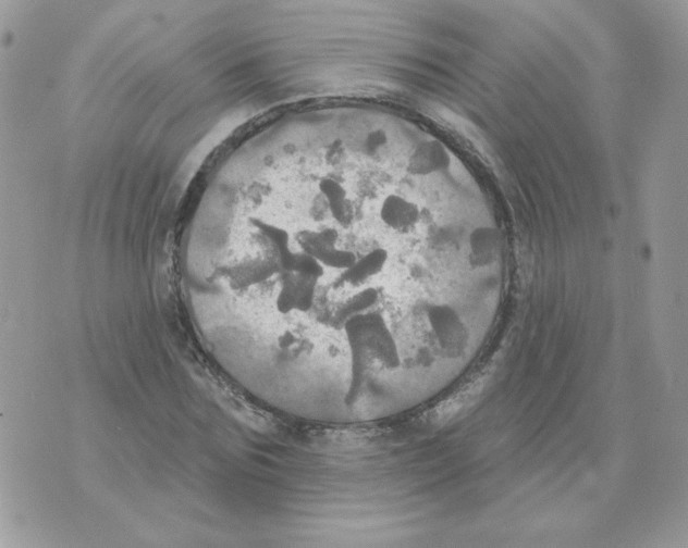 X0000070360875200607072100