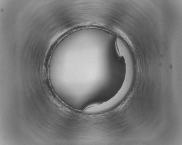 X0000070360876200607072100