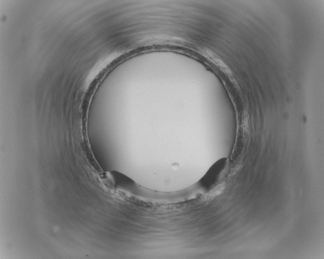 X0000070360877200607072100