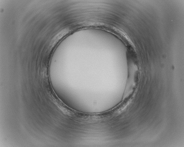 X0000070360881200607072100