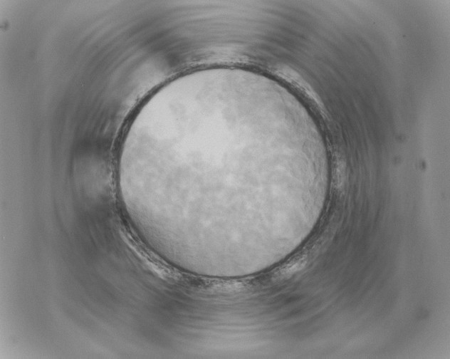 X0000070360882200607072100