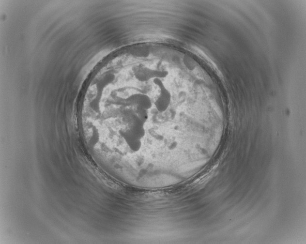 X0000070360883200607072100