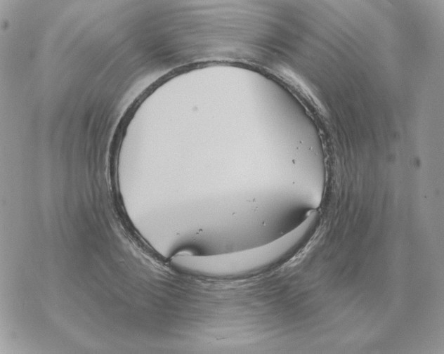 X0000070360884200607072100