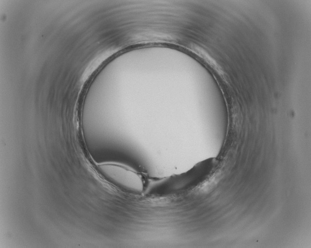 X0000070360885200607072100