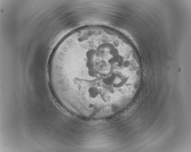 X0000070360887200607072100