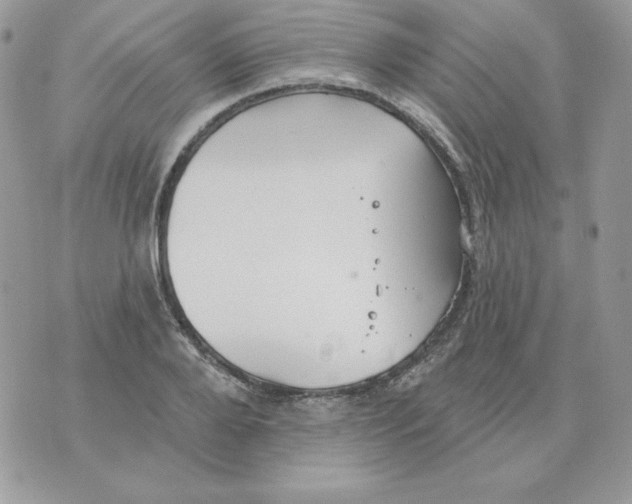 X0000070360888200607072100