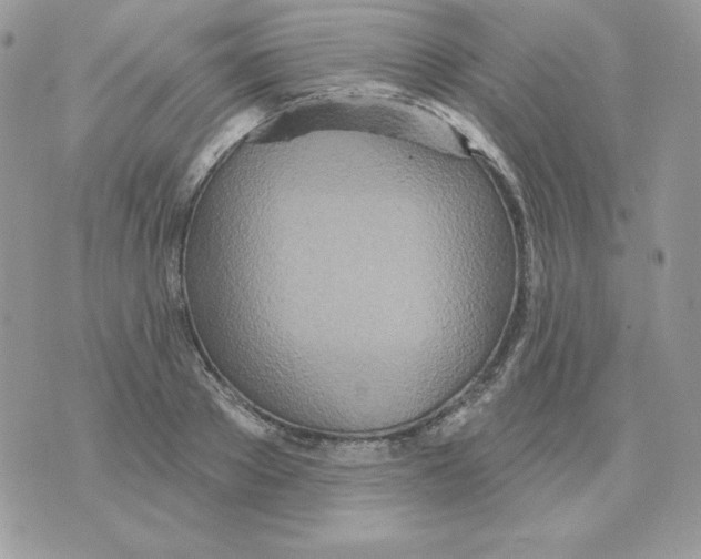 X0000070360889200607072100