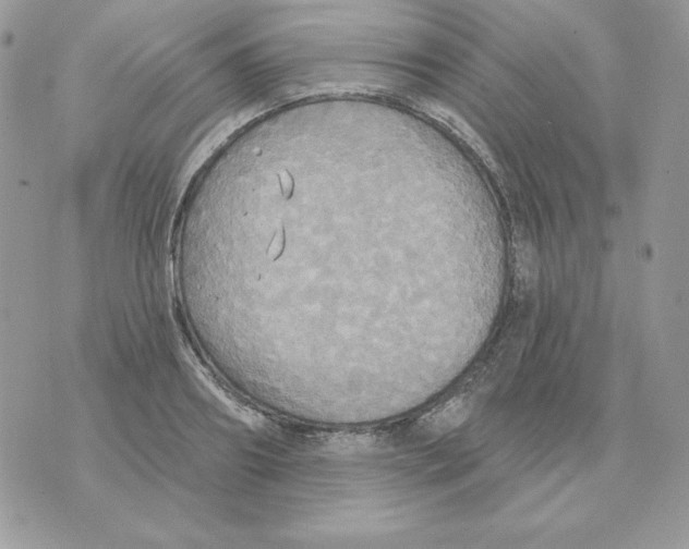 X0000070360890200607072100