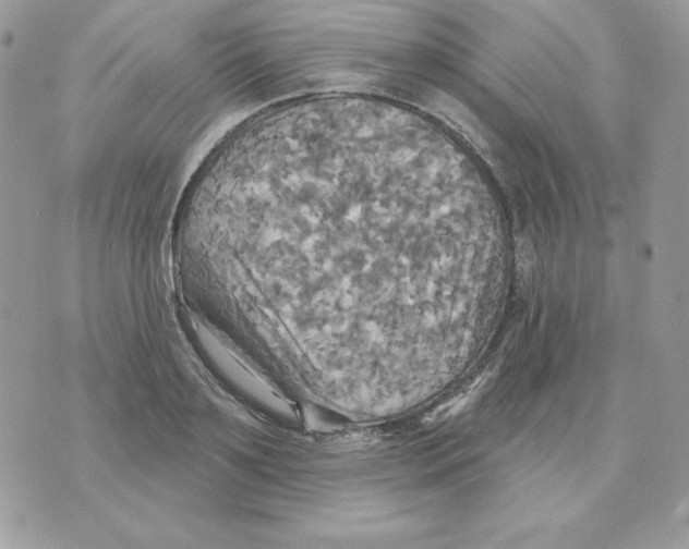 X0000070360891200607072100