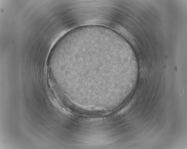 X0000070360892200607072100