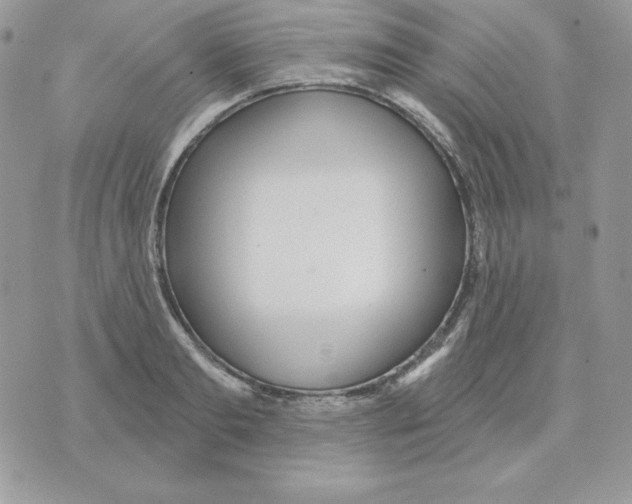 X0000070360893200607072100