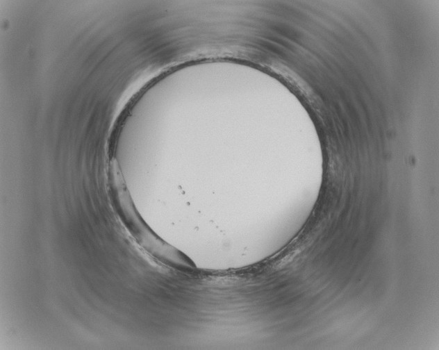 X0000070360894200607072100