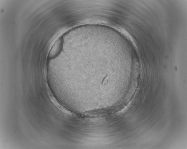 X0000070360896200607072100